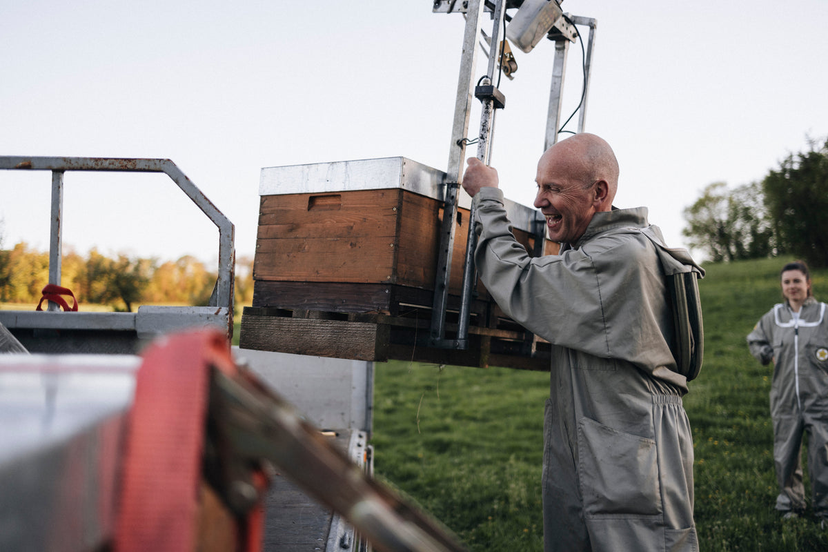 Bienen auf Wanderschaft