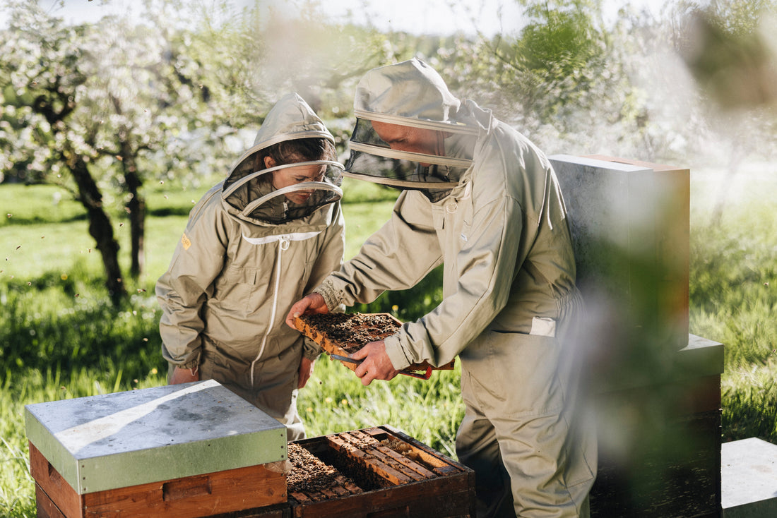 Die Imker Patricia und Stephan betrachten die Bienen in Ihrem Bienenstock.