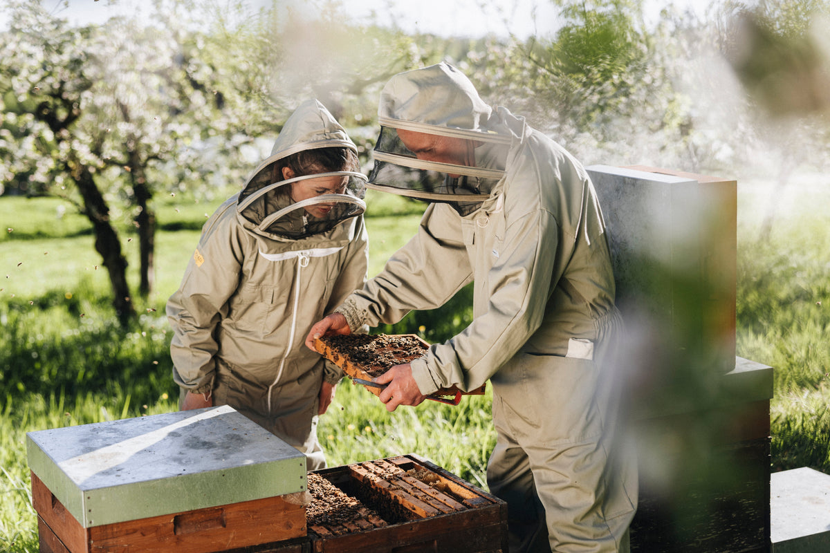 Die Imker Patricia und Stephan betrachten die Bienen in Ihrem Bienenstock.